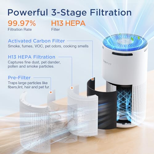 "Best Air Purifier for Cat Allergies Up to 1500ft² | DBFIT" - Image 3