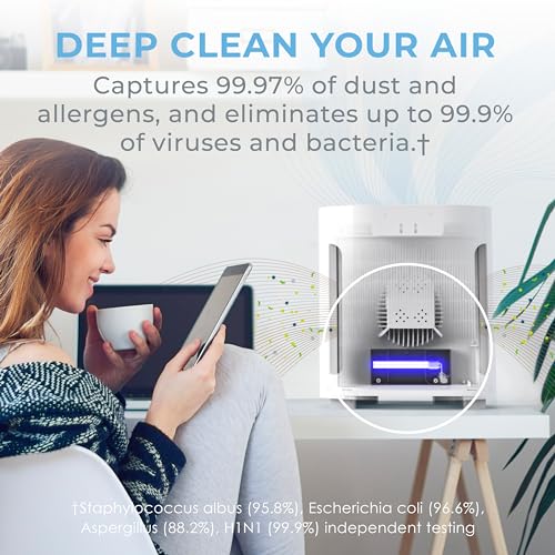 Air Purifier for Hayfever Relief: PureZone 4-Stage Filtration - Image 2