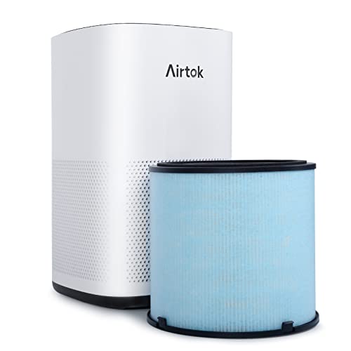 Air Purifier for Smoke: AIRTOK AP1001 H13 HEPA Filter - Image 6