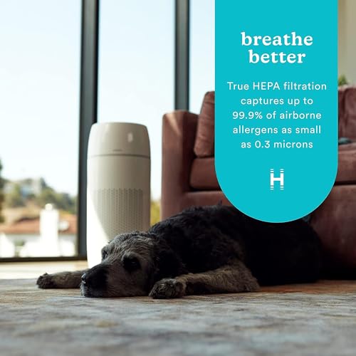 Air Purifier for Cat Allergies - Homedics 5-in-1 HEPA 360° - Image 5