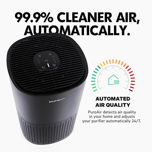 Air Purifier for Large Room - PuroAir 240 with HEPA Filters - Image 3