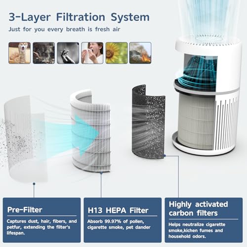 Air Purifier for Hayfever: FRESHDEW H13 HEPA 1300 Ft² - Image 2