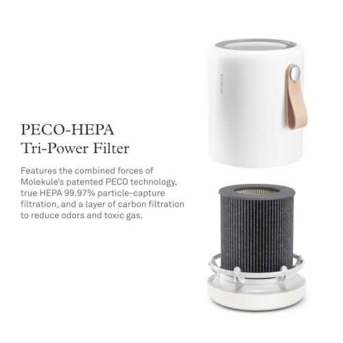 Molekule Mini Filter Replacement - PECO-HEPA Smoke Filtration - Image 2