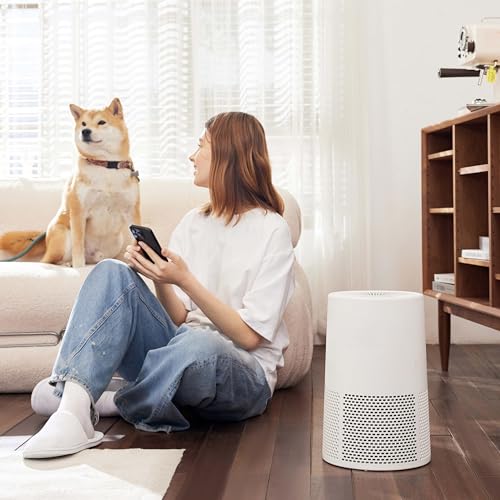 "Amazon Basics HEPA Air Purifier with 3-Stage Filtration" - Image 6