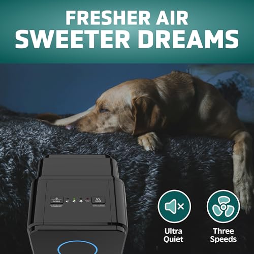 Air Purifier for Hayfever: GermGuardian 5-In-1 HEPA Tower - Image 3