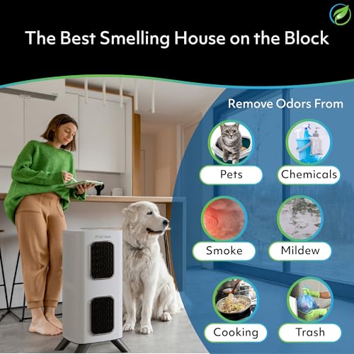 "Air Oasis iAdapt 2.0 HEPA Air Purifier Bundle - 5 Units" - Image 3