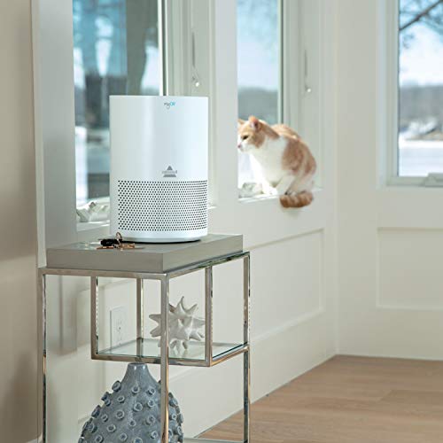 Bissell MyAir: Quiet Air Purifier for Mold & Allergens - Image 7
