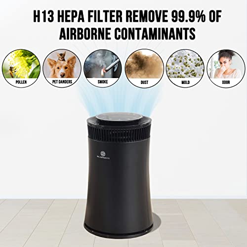 Air Purifier for Mold: SILVERONYX 5-in-1 HEPA Filter System - Image 2