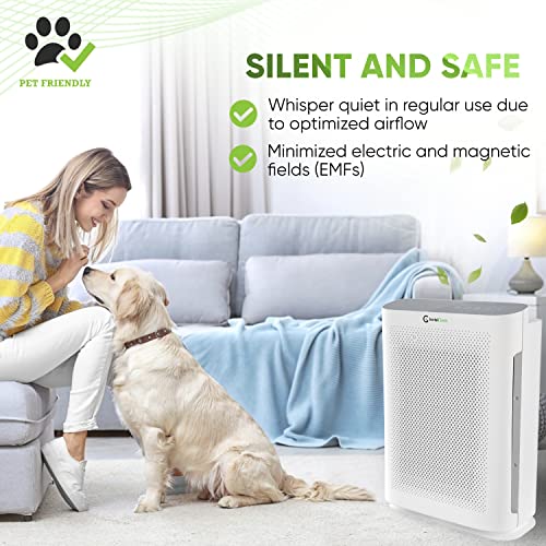 Air Purifier for Hayfever | InvisiClean Aura II 4-in-1 HEPA - Image 6