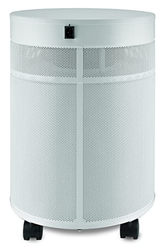 Airpura C700 DLX: Best Air Purifier for Room and Gas Abatement - Image 3