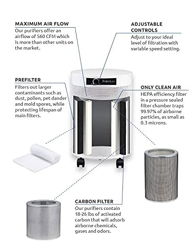 Best Air Purifier for Pets: AIRPURA C600DLX for Clean Air - Image 2