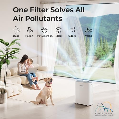 Air Purifier for Hayfever: Homvana H13 HEPA for Allergies - Image 2