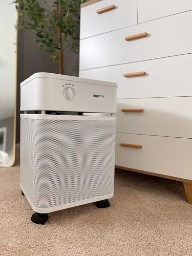 Air Purifier for Smoke: Austin Air Healthmate Plus Review - Image 7
