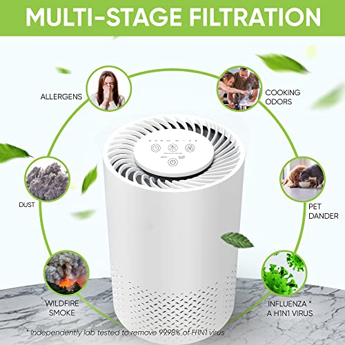 Air Purifier for Hayfever Relief - InvisiClean Stella - Image 2