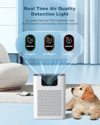 Air Purifier for Large Room - WESTHEY HEPA Filter 2500 ft² - Image 4