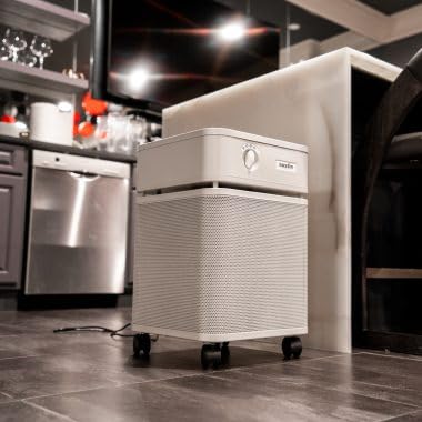 Air Purifier for Mold - Austin Air HealthMate Standard HEPA - Image 2