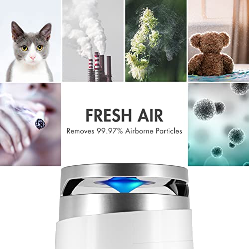 Tenergy Renair: Ultra Quiet Air Purifier for Hayfever Relief - Image 2