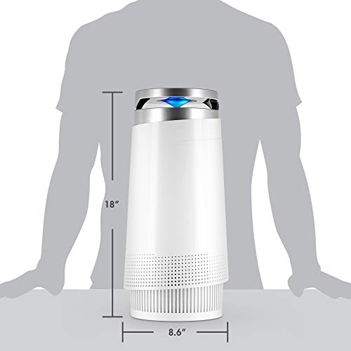 Tenergy Renair: Ultra Quiet Air Purifier for Hayfever Relief - Image 4