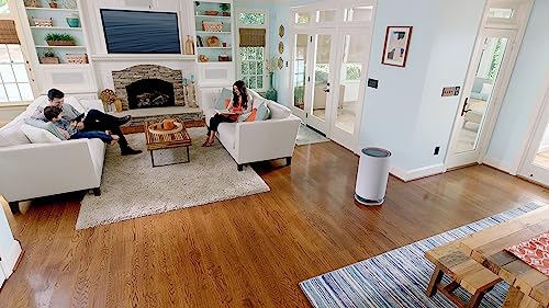 Best Air Purifier for Pets: ORANSI mod+ HEPA for Large Rooms - Image 6