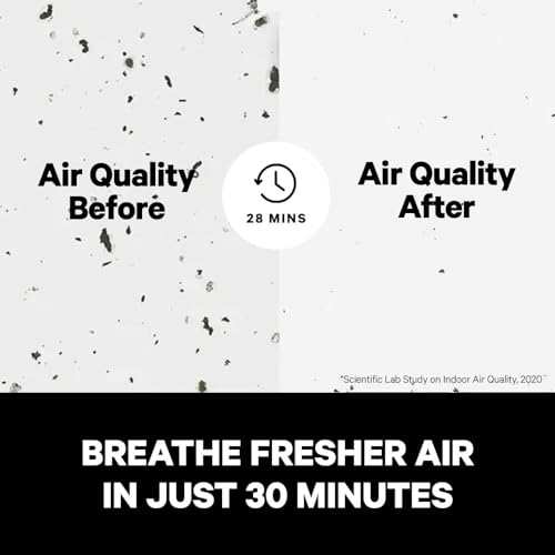 Air Purifier for Allergies – Hospital-Grade Dual Pack - Image 2