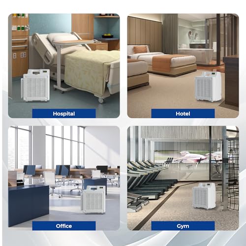 Air Purifier for Allergies: XPOWER X-2830 550 CFM HEPA Filter - Image 3