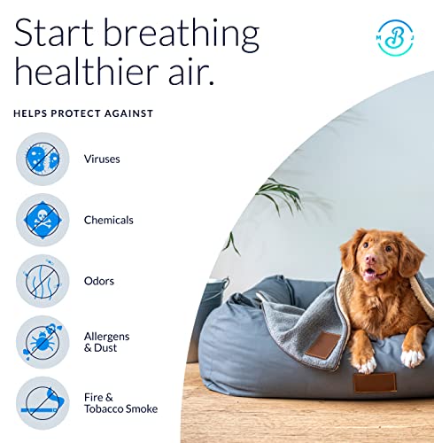 "Whole House HEPA Air Cleaner for Home, School & Business" - Image 2
