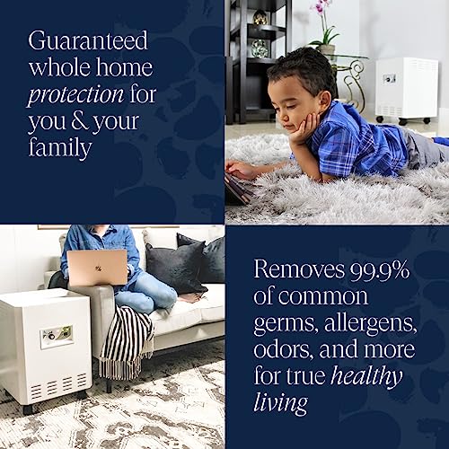 Air Purifier for Mold Control | EnviroKlenz 1000 Sq Ft - Image 2