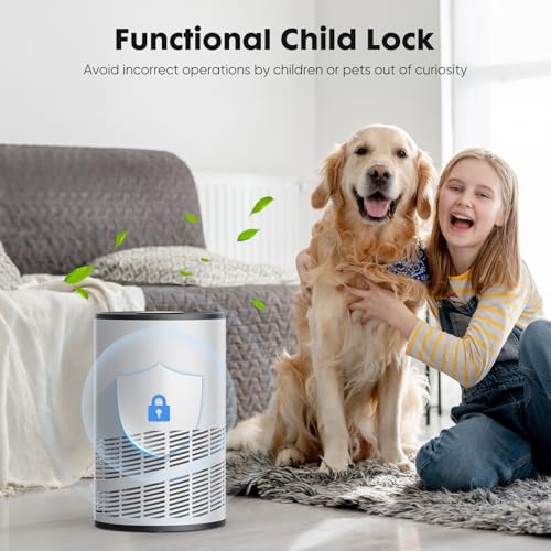Air Purifier for Room: DUMOS HEPA for Large Spaces, Quiet - Image 2