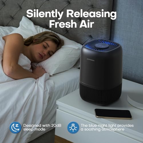 Air Purifier for Hayfever Relief - POMORON HEPA Filter - Image 2