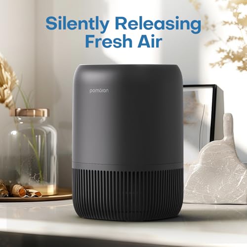 Air Purifier for Hayfever Relief - POMORON HEPA Filter - Image 6