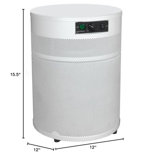 "Airpura R400: Your Everyday Solution for Clean Air" - Image 2