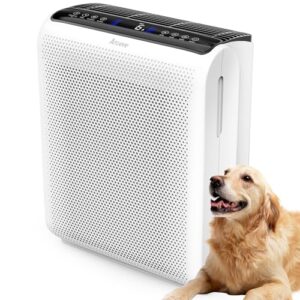 AROEVE Air Purifier for Hayfever & Large Rooms Up to 1504 Sq Ft AROEVE Air Purifier for Hayfever & Large Rooms Up to 1504 Sq Ft