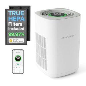 Air Purifier for Allergies: Airversa True HEPA for Large Rooms