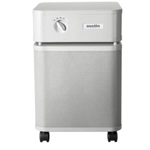 Air Purifier for Allergies: Austin Air Healthmate Plus Review