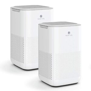 Air Purifier for Allergies: Medify MA-15 True HEPA 2-Pack