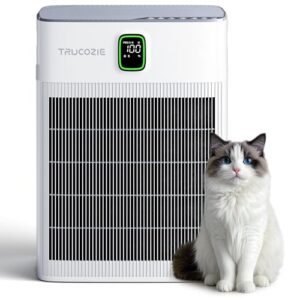 Air Purifier for Bedroom: Washable Filter & HEPA Sleep Mode