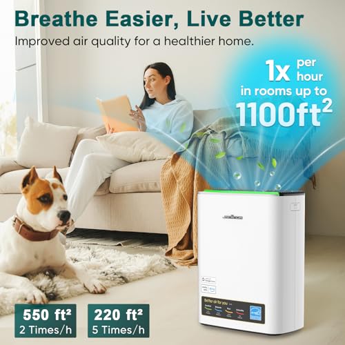 Air Purifier for Cat Allergies - HEPA Filter, Large Room Use - Image 2