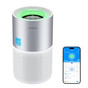 Air Purifier for Dust: GoveeLife Smart Home Device