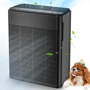 Air Purifier for Hayfever – AIUZLK Powerful HEPA Filter Air Purifier for Hayfever – AIUZLK Powerful HEPA Filter