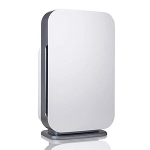 Air Purifier for Hayfever: Alen BreatheSmart Flex HEPA Air Purifier for Hayfever: Alen BreatheSmart Flex HEPA