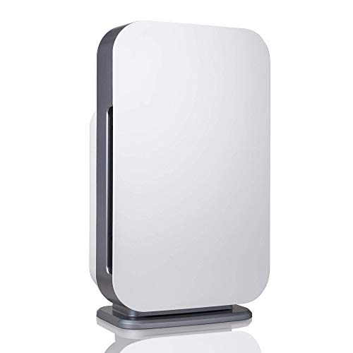 Air Purifier for Hayfever: Alen BreatheSmart Flex HEPA