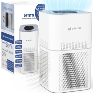 Air Purifier for Hayfever: Dayette HEPA for Large Rooms