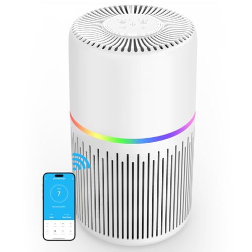 Air Purifier for Hayfever: FRESHDEW H13 HEPA 1300 Ft²