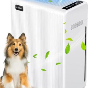 Air Purifier for Hayfever: H13 HEPA for Large Rooms Up to 1740ft²