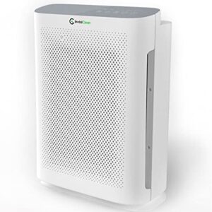Air Purifier for Hayfever | InvisiClean Aura II 4-in-1 HEPA Air Purifier for Hayfever | InvisiClean Aura II 4-in-1 HEPA