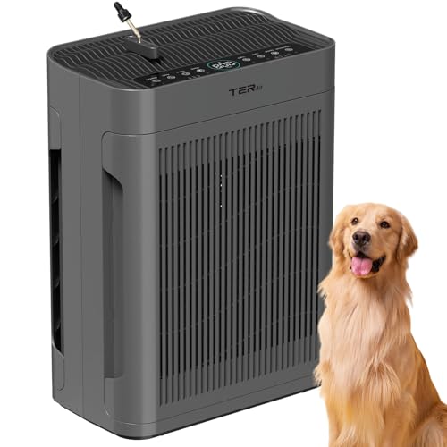 Air Purifier for Hayfever: Large Room, HEPA, Quiet Operation