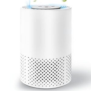Air Purifier for Hayfever Relief – InvisiClean Stella Air Purifier for Hayfever Relief – InvisiClean Stella