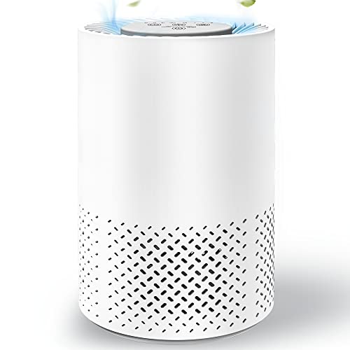 Air Purifier for Hayfever Relief - InvisiClean Stella
