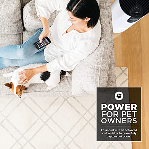 Air Purifier for Hayfever - Shark HEPA Filter for Pets & Allergens - Image 2