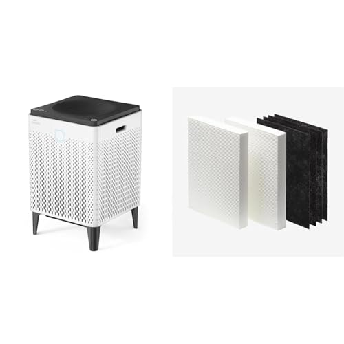 Air Purifier for Home: Coway Airmega 400 & Replacement Filter
